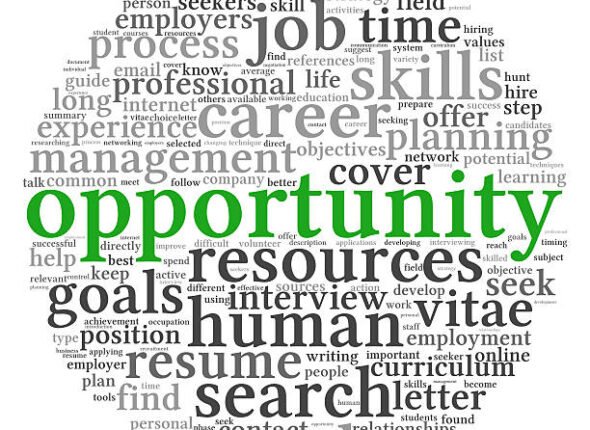 IT career opportunities