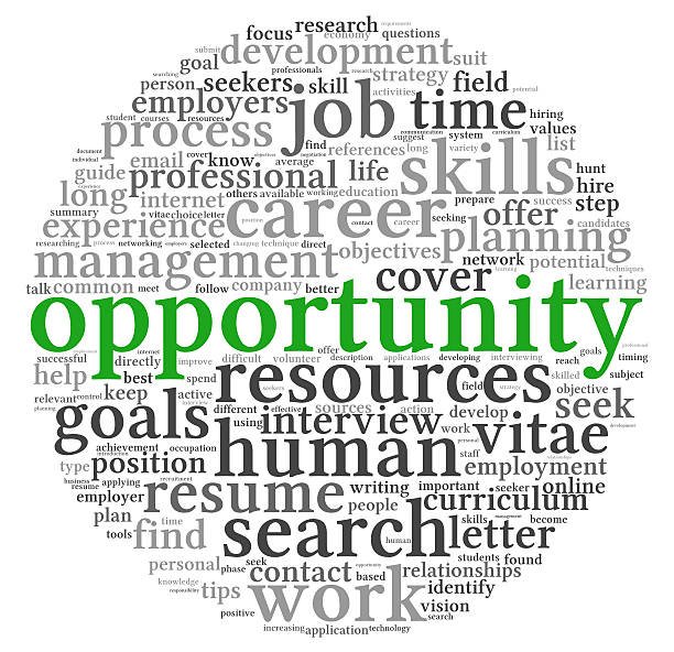 IT career opportunities